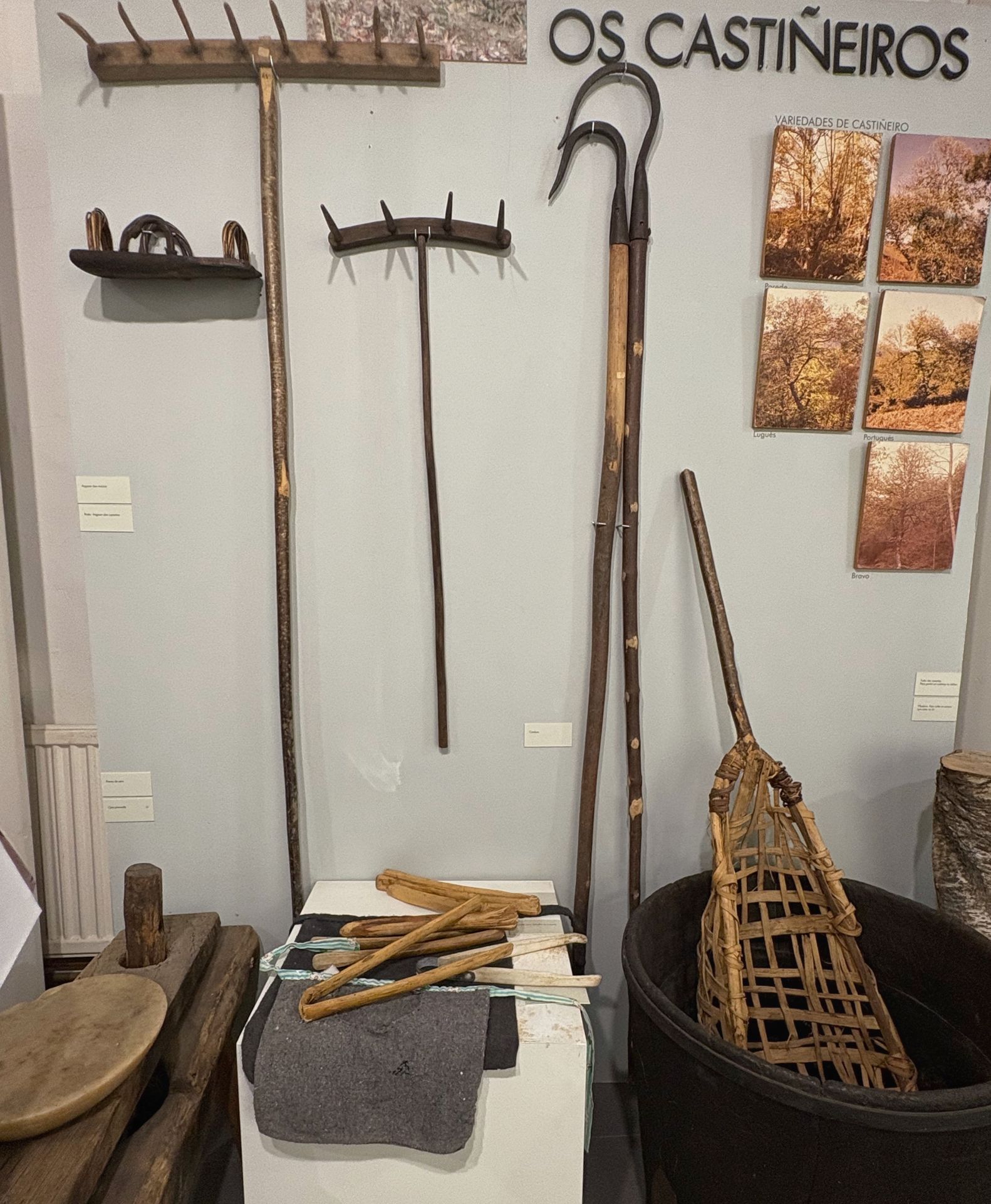 Cambos, angazos e outros úteis para a recollida das castañas