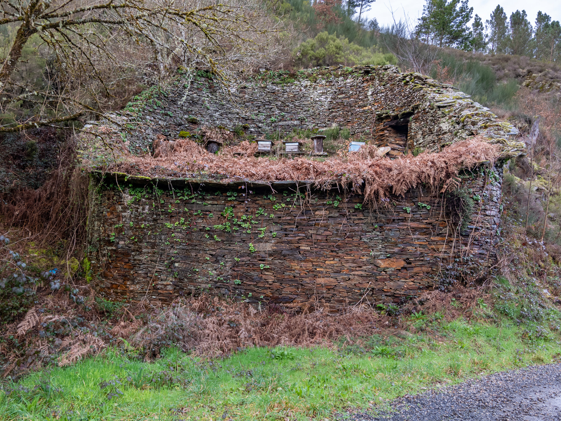 Cortin no que se aprecian algunha colmea e 2 trobos