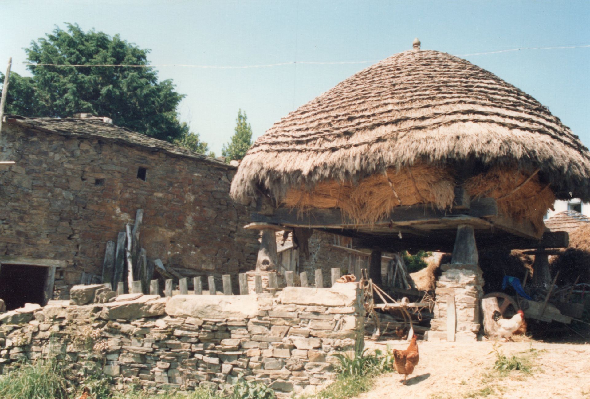 Hórreo co millo a secar