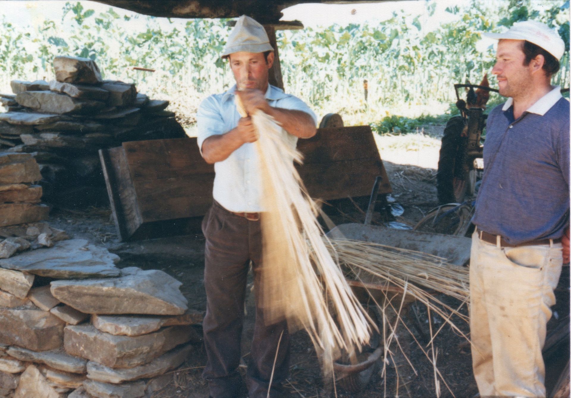 Preparando a palla para teitar o hórreo