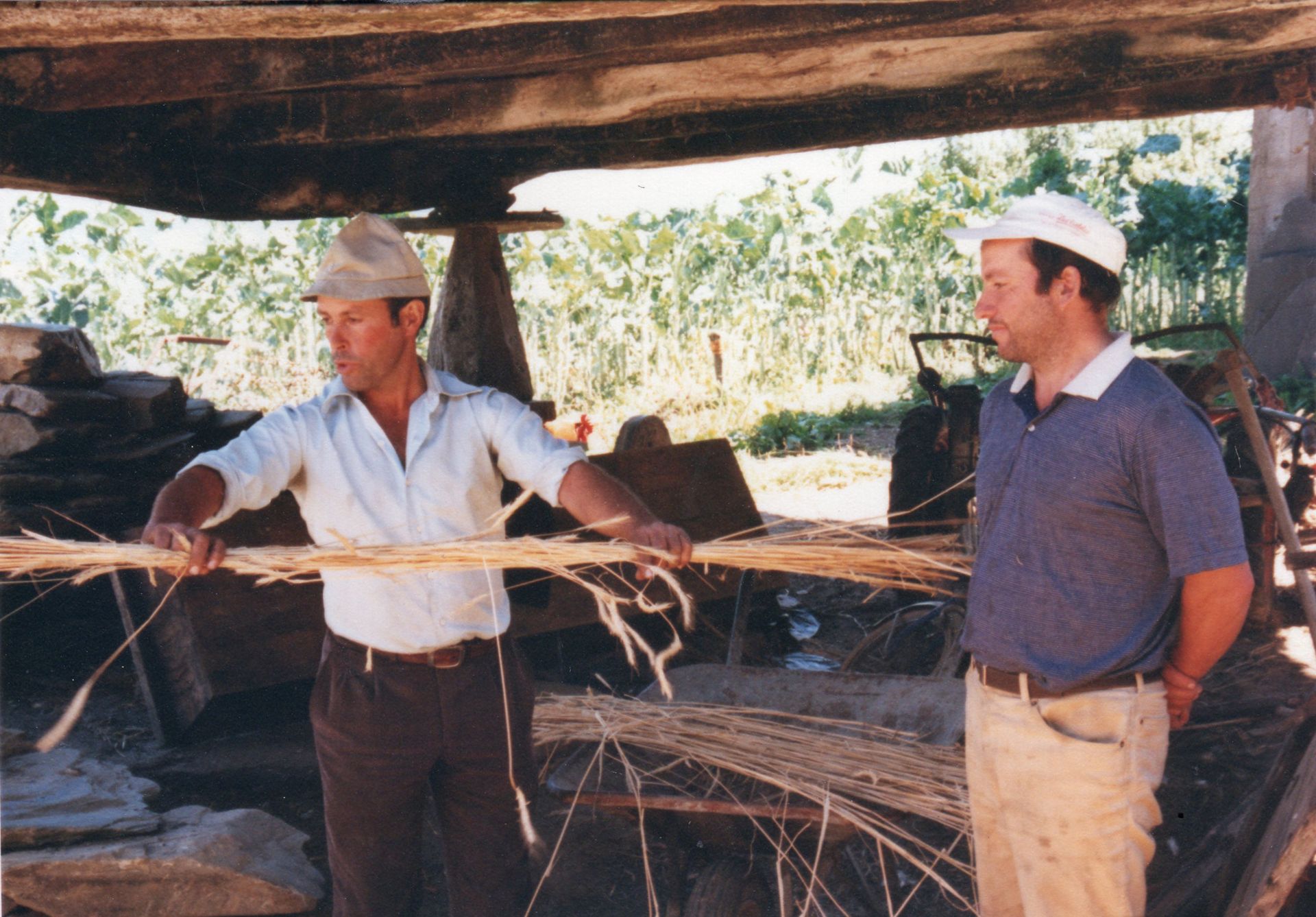 Preparando a palla para teitar o hórreo 2