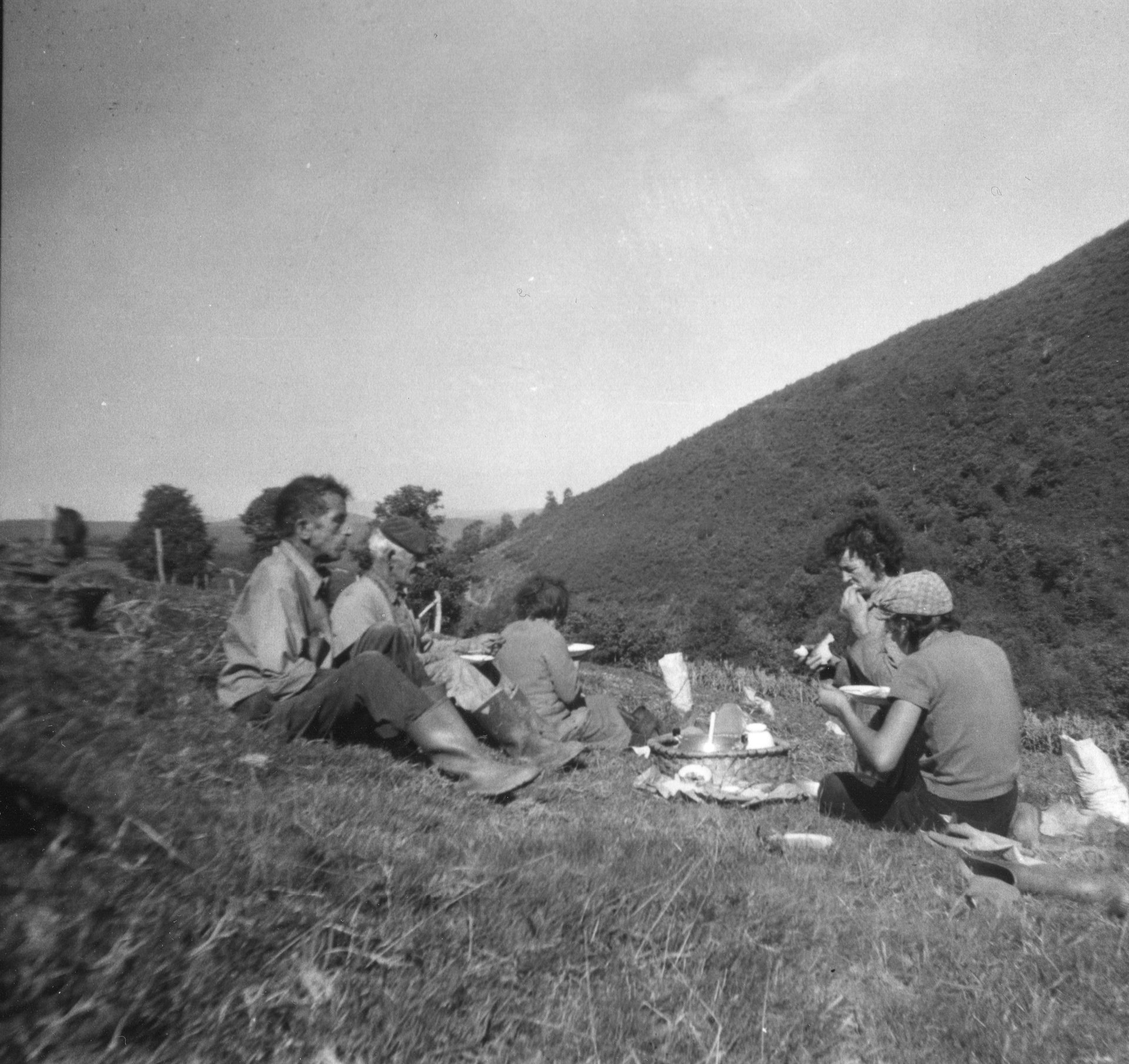 Hora da comida na leira