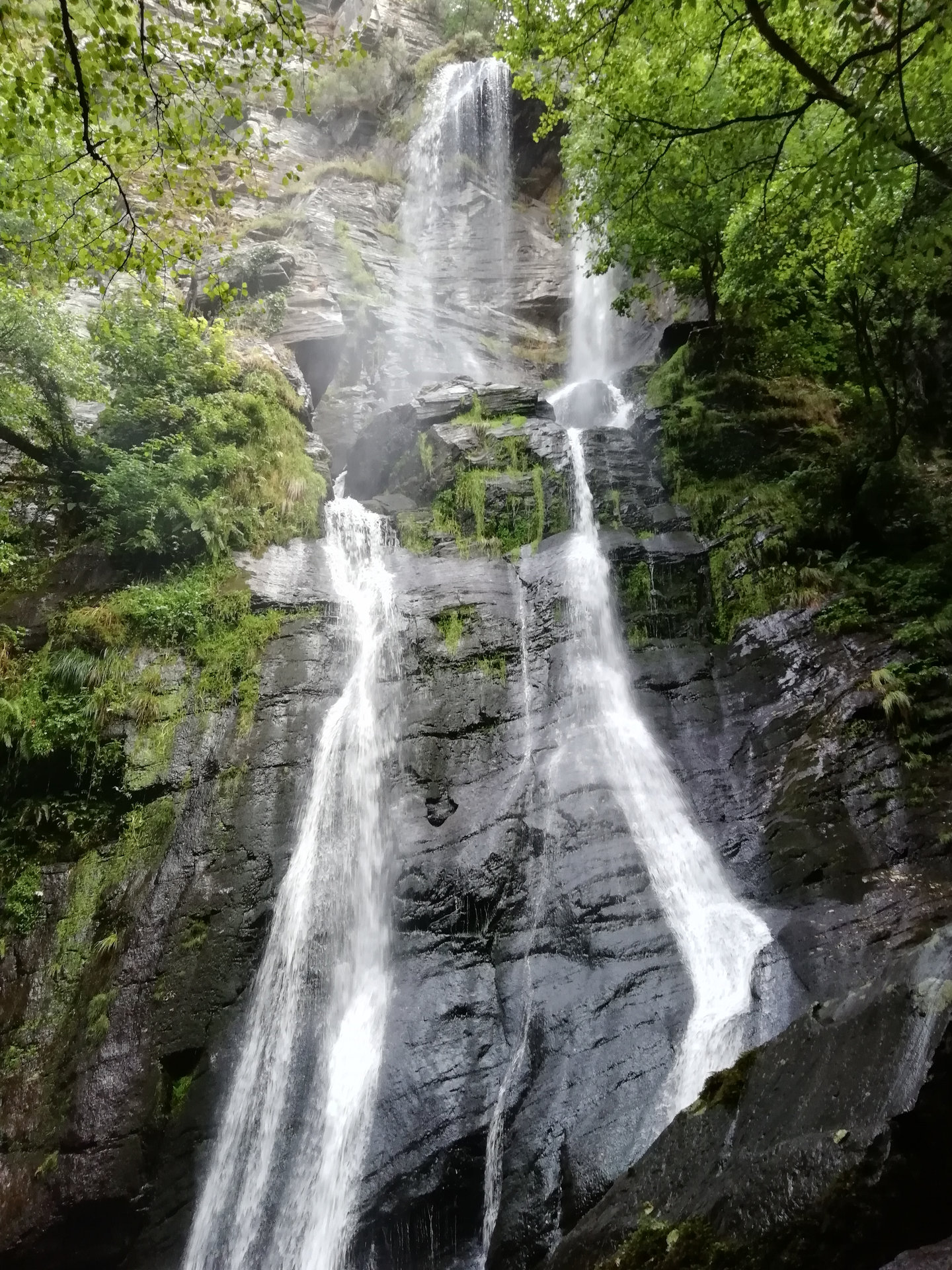 Seimeira de Vilagocende